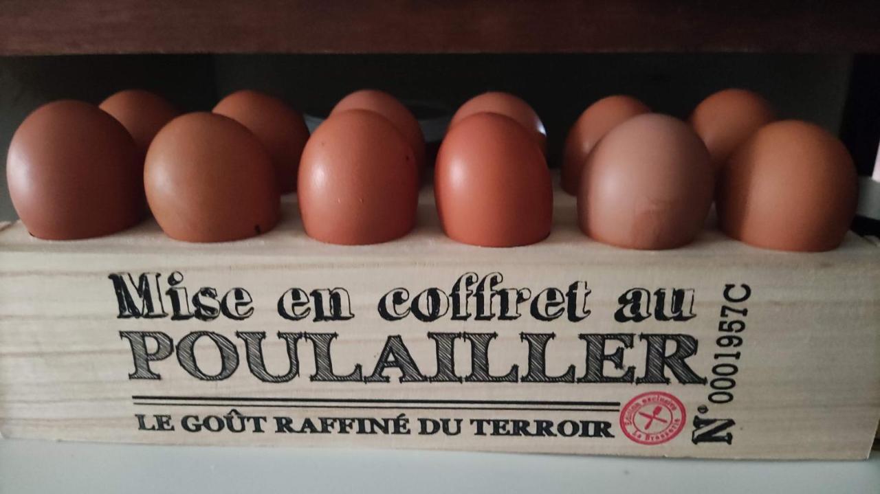 Thiviers La Fontaine Du Mas Bed & Breakfast エクステリア 写真