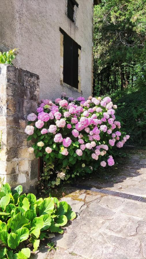 Thiviers La Fontaine Du Mas Bed & Breakfast エクステリア 写真